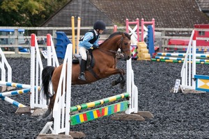 Class 2 -  Fences not above 2'